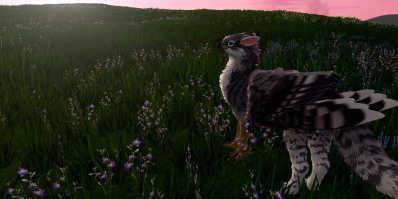 Quest Pro Eyes: Soar as Bird for VR Fuck Fantasies